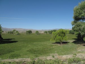 Alamo Valley a green belt in the desert.