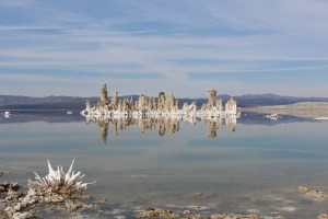 Cold Water Challenge